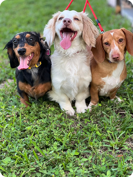 WhatsApp Image 2025-08-26 at 10.29.53 (1)