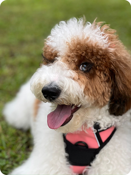 WhatsApp Image 2025-08-26 at 10.29.53 (2)