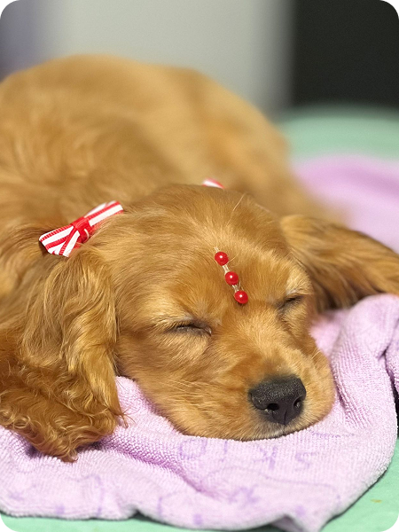 WhatsApp Image 2025-08-26 at 10.29.53 (3)